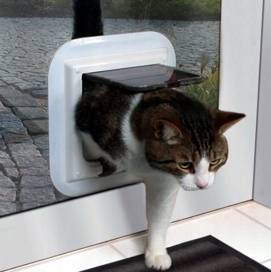 выход для кота в стеклопакете